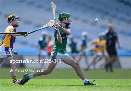 Allianz Cumann na mBunscoil Hurling Finals - Wednesday