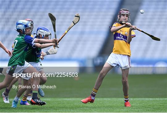 Allianz Cumann na mBunscoil Hurling Finals - Wednesday