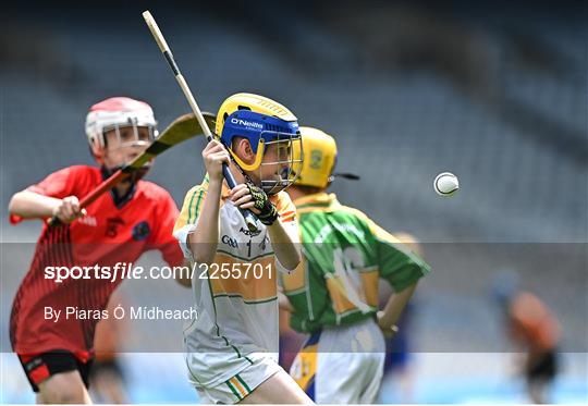 Allianz Cumann na mBunscoil Hurling Finals - Wednesday