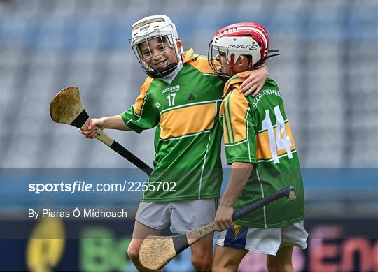 Allianz Cumann na mBunscoil Hurling Finals - Wednesday Allianz Cumann na mBunscoil Hurling Finals - Wednesday