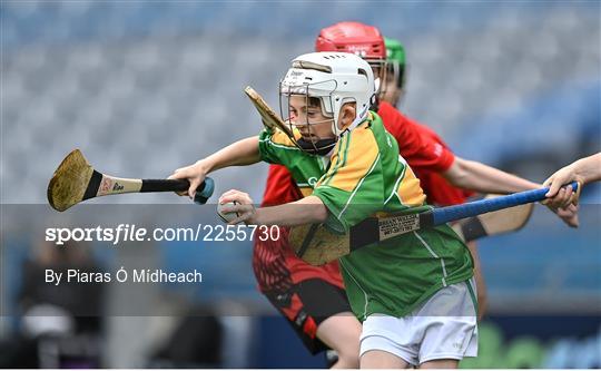 Allianz Cumann na mBunscoil Hurling Finals - Wednesday Allianz Cumann na mBunscoil Hurling Finals - Wednesday