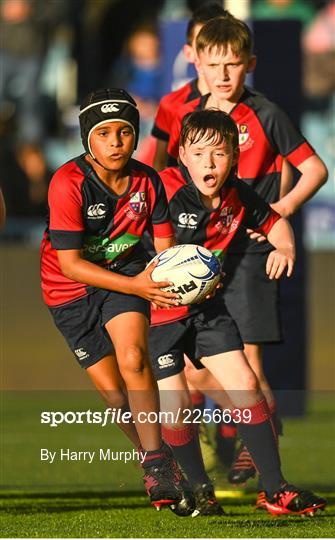 Half-Time Minis at Leinster v Vodacom Bulls - United Rugby Championship Semi-Final