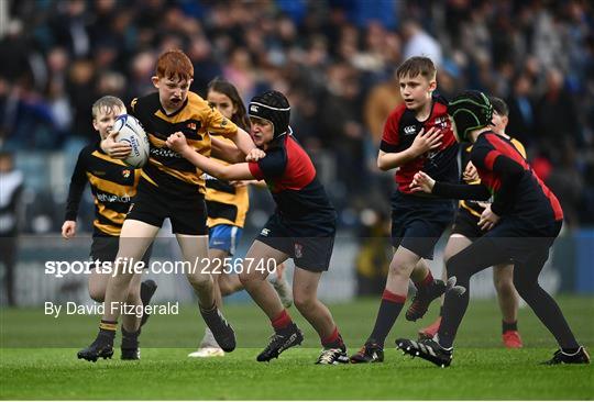 Half-Time Minis at Leinster v Vodacom Bulls - United Rugby Championship Semi-Final