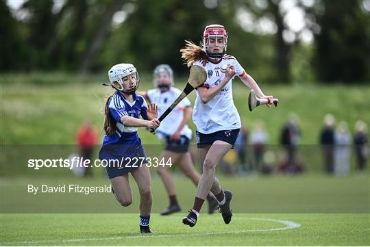 John West Féile na nGael National Camogie and Hurling Finals, 2022