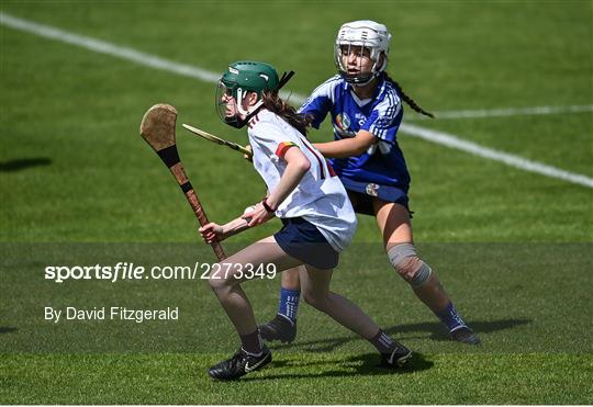 John West Féile na nGael National Camogie and Hurling Finals, 2022