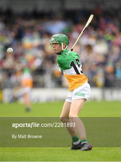 Tipperary v Offaly - Electric Ireland GAA Hurling All-Ireland Minor Championship Final Tipperary v Offaly - Electric Ireland GAA Hurling All-Ireland Minor Championship Final