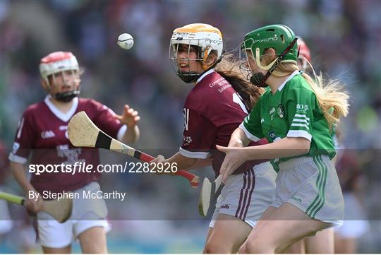 INTO Cumann na mBunscol GAA Respect Exhibition Go Games at Limerick v Galway - GAA Hurling All-Ireland Senior Championship Semi-Final