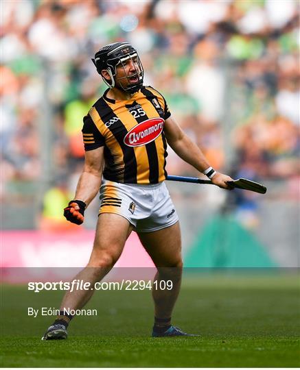 Kilkenny v Limerick - GAA Hurling All-Ireland Senior Championship Final Kilkenny v Limerick - GAA Hurling All-Ireland Senior Championship Final