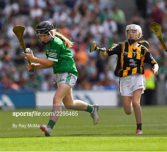 INTO Cumann na mBunscol GAA Respect Exhibition Go Games at Kilkenny v Limerick - GAA Hurling All-Ireland Senior Championship Final