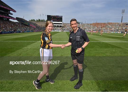 Kilkenny v Limerick - GAA Hurling All-Ireland Senior Championship Final