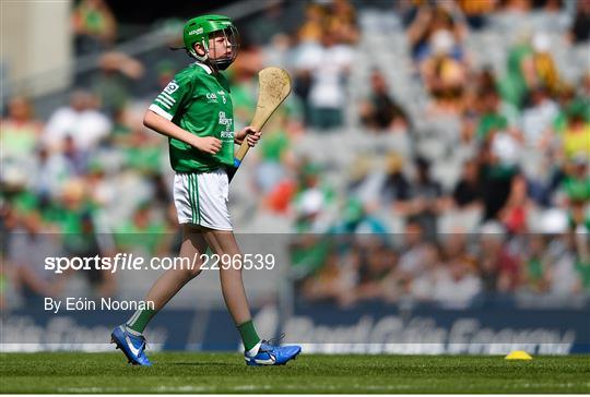 INTO Cumann na mBunscol GAA Respect Exhibition Go Games at Kilkenny v Limerick - GAA Hurling All-Ireland Senior Championship Final INTO Cumann na mBunscol GAA Respect Exhibition Go Games at Kilkenny v Limerick - GAA Hurling All-Ireland Senior Championship Final