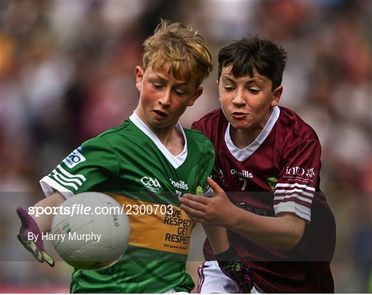 INTO Cumann na mBunscol GAA Respect Exhibition Go Games at GAA All-Ireland Senior Football Championship Final INTO Cumann na mBunscol GAA Respect Exhibition Go Games at GAA All-Ireland Senior Football Championship Final