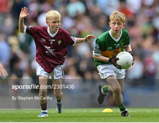 INTO Cumann na mBunscol GAA Respect Exhibition Go Games at GAA All-Ireland Senior Football Championship Final