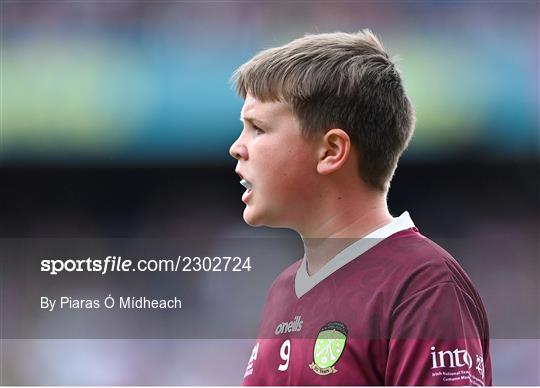 INTO Cumann na mBunscol GAA Respect Exhibition Go Games at GAA All-Ireland Senior Football Championship Final