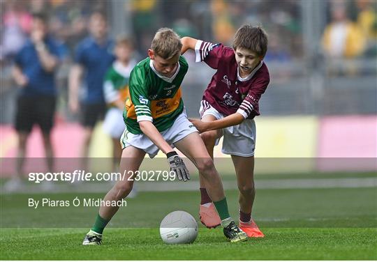 INTO Cumann na mBunscol GAA Respect Exhibition Go Games at GAA All-Ireland Senior Football Championship Final INTO Cumann na mBunscol GAA Respect Exhibition Go Games at GAA All-Ireland Senior Football Championship Final