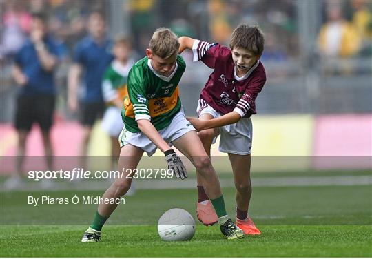 INTO Cumann na mBunscol GAA Respect Exhibition Go Games at GAA All-Ireland Senior Football Championship Final