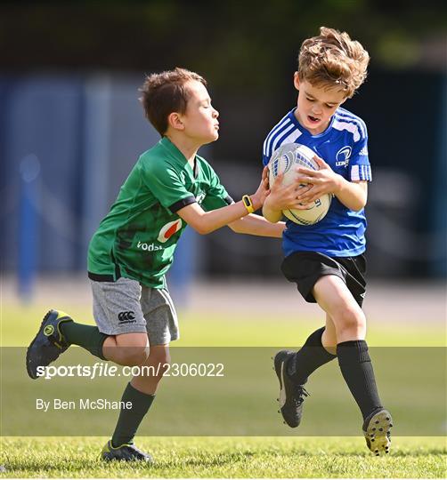 Bank of Ireland Leinster Rugby Summer Camp - St Mary's College RFC