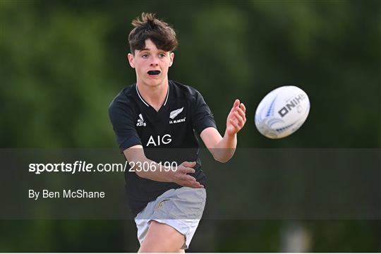 Bank of Ireland Leinster Rugby School of Excellence Bank of Ireland Leinster Rugby School of Excellence