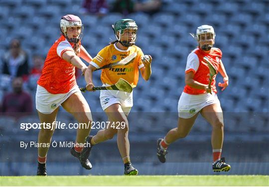 Antrim v Armagh - Glen Dimplex All-Ireland Premier Junior Camogie Championship Final