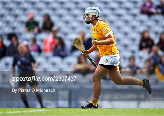 Antrim v Armagh - Glen Dimplex All-Ireland Premier Junior Camogie Championship Final Antrim v Armagh - Glen Dimplex All-Ireland Premier Junior Camogie Championship Final