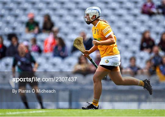 Antrim v Armagh - Glen Dimplex All-Ireland Premier Junior Camogie Championship Final