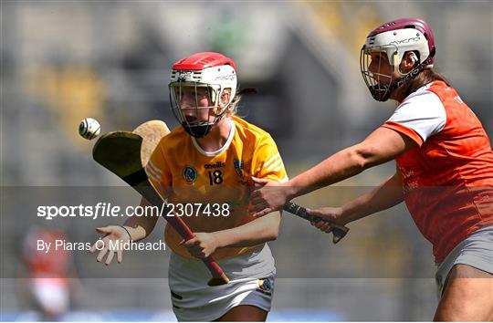 Antrim v Armagh - Glen Dimplex All-Ireland Premier Junior Camogie Championship Final