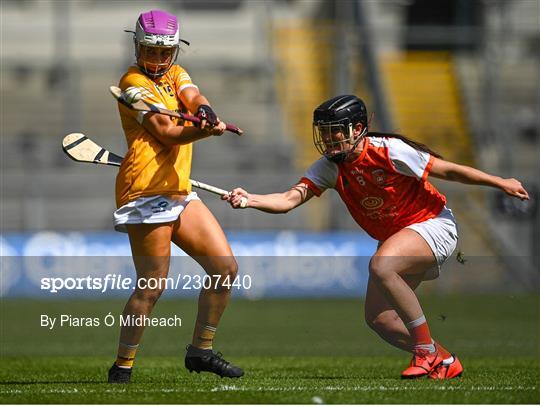 Antrim v Armagh - Glen Dimplex All-Ireland Premier Junior Camogie Championship Final