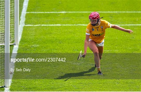 Antrim v Armagh - Glen Dimplex All-Ireland Premier Junior Camogie Championship Final