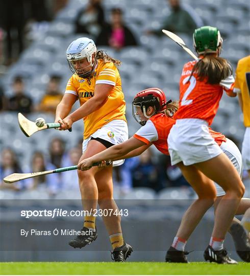 Antrim v Armagh - Glen Dimplex All-Ireland Premier Junior Camogie Championship Final