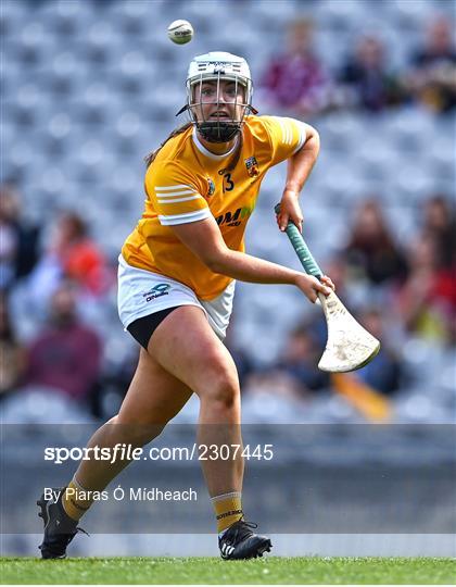 Antrim v Armagh - Glen Dimplex All-Ireland Premier Junior Camogie Championship Final