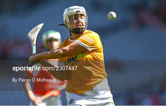 Antrim v Armagh - Glen Dimplex All-Ireland Premier Junior Camogie Championship Final