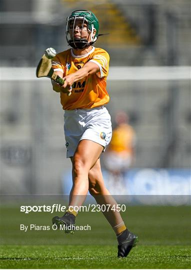 Antrim v Armagh - Glen Dimplex All-Ireland Premier Junior Camogie Championship Final