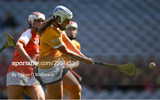 Antrim v Armagh - Glen Dimplex All-Ireland Premier Junior Camogie Championship Final Antrim v Armagh - Glen Dimplex All-Ireland Premier Junior Camogie Championship Final