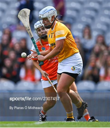 Antrim v Armagh - Glen Dimplex All-Ireland Premier Junior Camogie Championship Final