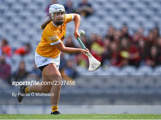 Antrim v Armagh - Glen Dimplex All-Ireland Premier Junior Camogie Championship Final