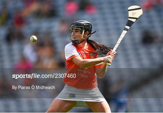 Antrim v Armagh - Glen Dimplex All-Ireland Premier Junior Camogie Championship Final