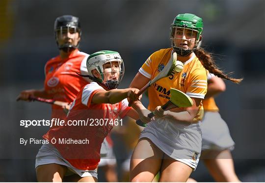 Antrim v Armagh - Glen Dimplex All-Ireland Premier Junior Camogie Championship Final