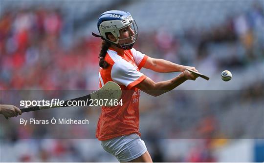 Antrim v Armagh - Glen Dimplex All-Ireland Premier Junior Camogie Championship Final