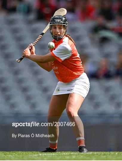 Antrim v Armagh - Glen Dimplex All-Ireland Premier Junior Camogie Championship Final