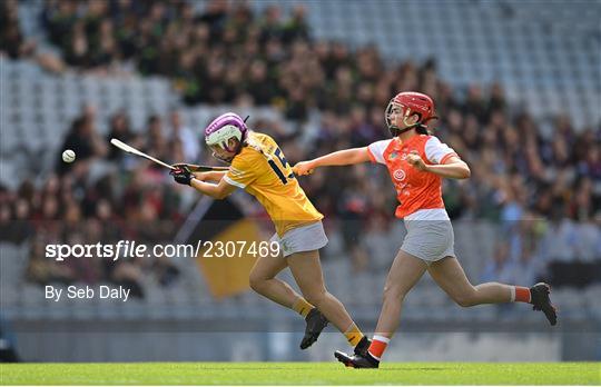 Antrim v Armagh - Glen Dimplex All-Ireland Premier Junior Camogie Championship Final