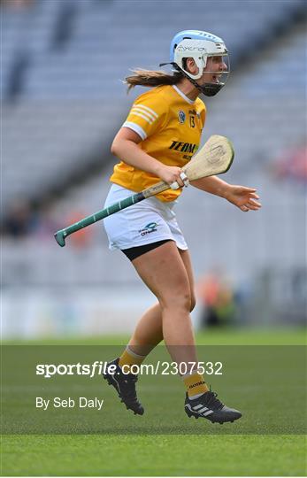 Antrim v Armagh - Glen Dimplex All-Ireland Premier Junior Camogie Championship Final