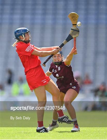 Cork v Galway - Glen Dimplex All-Ireland Intermediate Camogie Championship Final