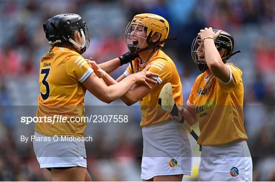 Antrim v Armagh - Glen Dimplex All-Ireland Premier Junior Camogie Championship Final