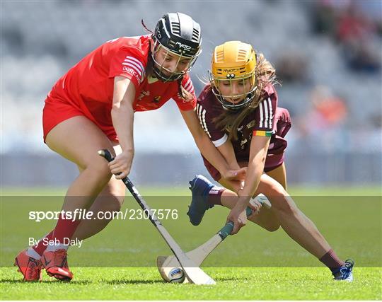 Cork v Galway - Glen Dimplex All-Ireland Intermediate Camogie Championship Final