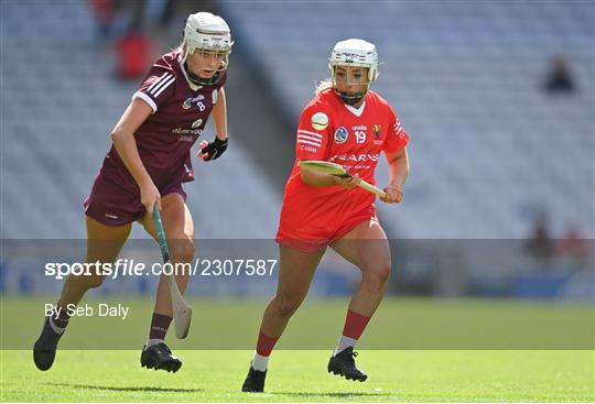 Cork v Galway - Glen Dimplex All-Ireland Intermediate Camogie Championship Final