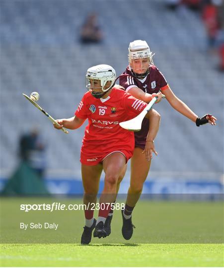 Cork v Galway - Glen Dimplex All-Ireland Intermediate Camogie Championship Final