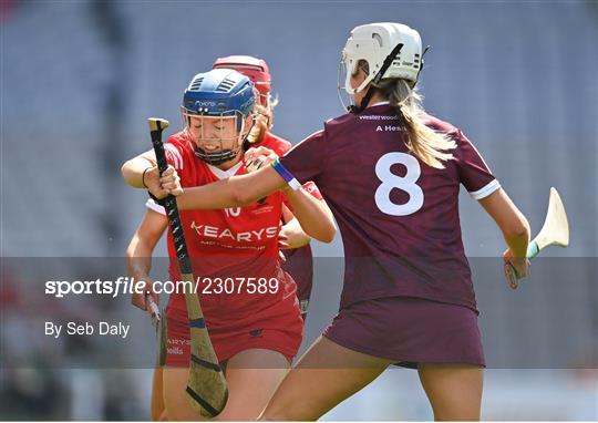 Cork v Galway - Glen Dimplex All-Ireland Intermediate Camogie Championship Final