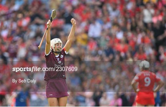 Cork v Galway - Glen Dimplex All-Ireland Intermediate Camogie Championship Final