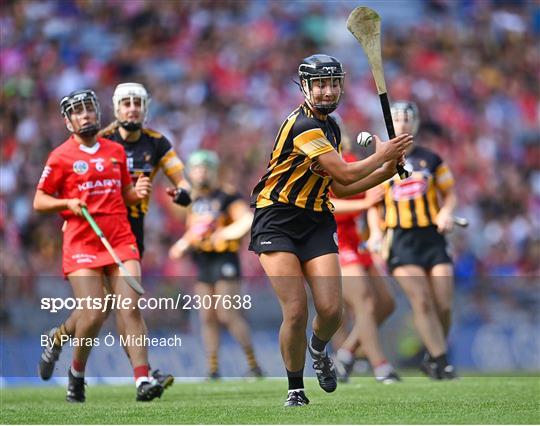 Cork v  Kilkenny - Glen Dimplex All-Ireland Senior Camogie Championship Final