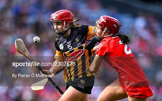 Cork v  Kilkenny - Glen Dimplex All-Ireland Senior Camogie Championship Final